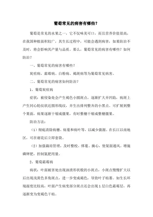 葡萄常见的病害有哪些？