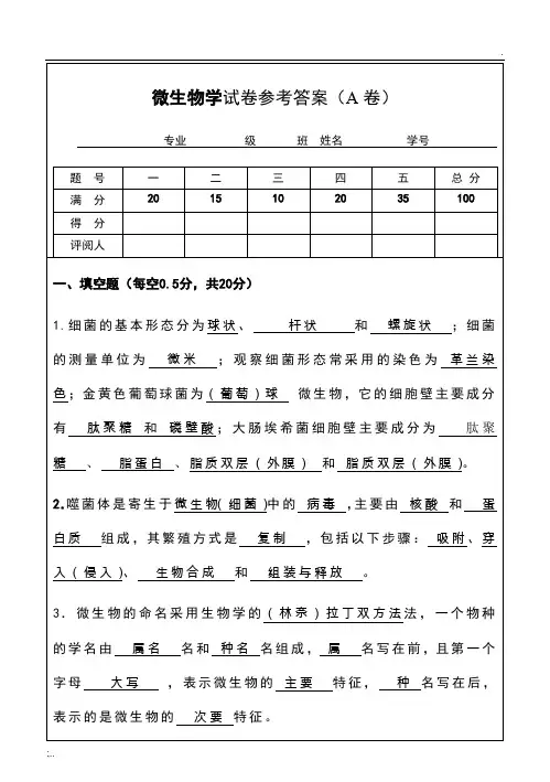 微生物试题及答案