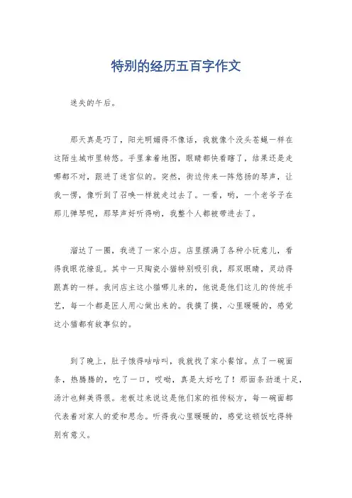 特别的经历五百字作文