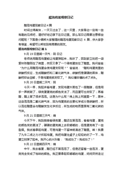 醋泡鸡蛋观察日记4篇