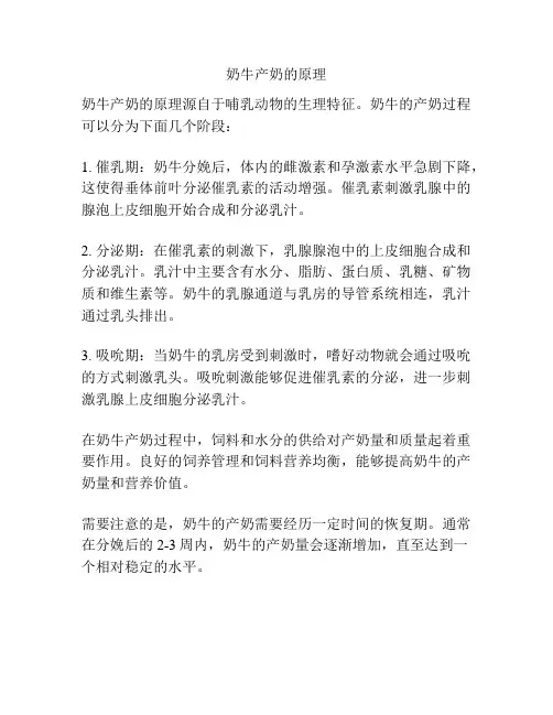奶牛产奶的原理