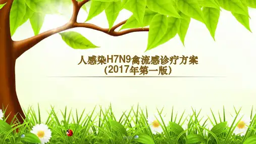 人感染hn禽流感培训ppt课件
