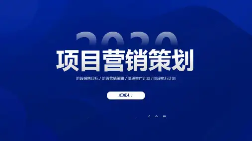 蓝色简约项目营销策划PPT模板