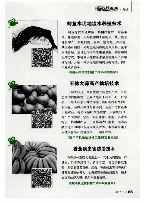 鲟鱼水泥地流水养殖技术