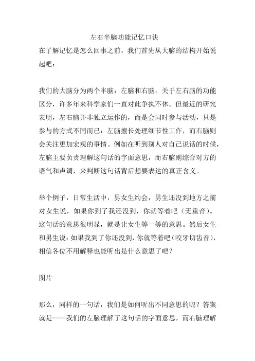 左右半脑功能记忆口诀