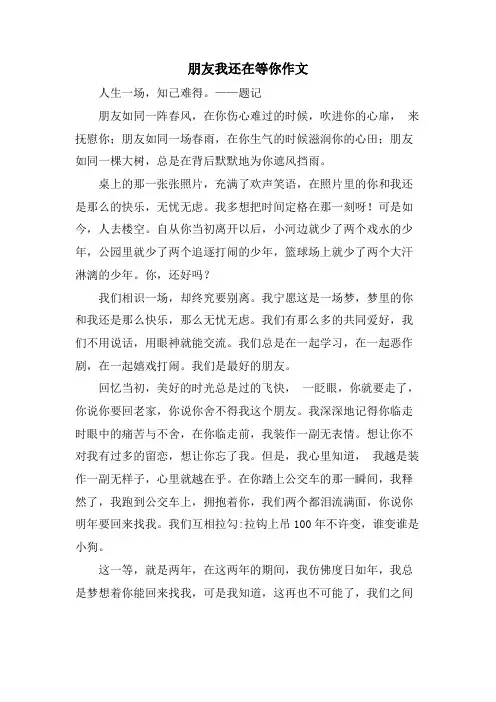 朋友我还在等你作文