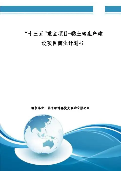 “十三五”重点项目黏土砖生产建设项目商业计划书