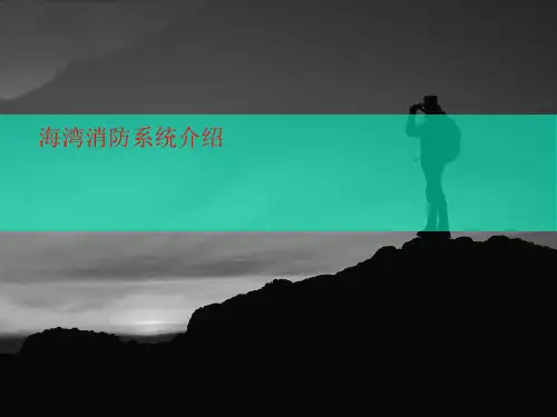 海湾消讲义防系统介绍