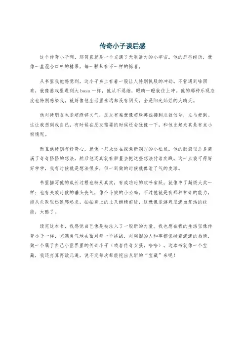 传奇小子读后感