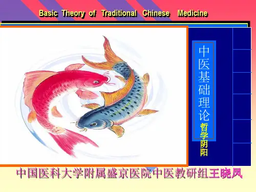 阴阳学说完整ppt课件