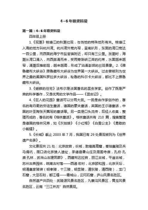 4~6年级资料袋