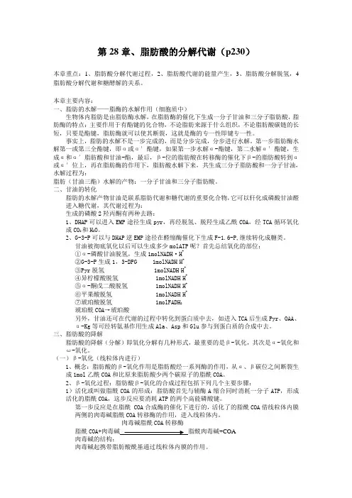 22 脂肪酸的分解代谢