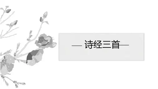 诗经三首ppt课件