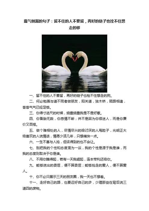 霸气侧漏的句子：留不住的人不要留，再好的链子也拴不住想走的够
