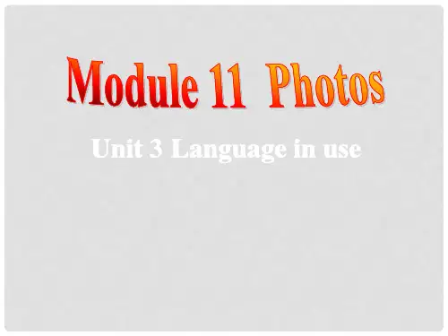 九年级英语上册 Module 11 Photos Unit 3 Language in use课件 (新版)外研版