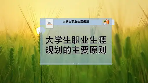 大学生职业生涯规划的主要原则