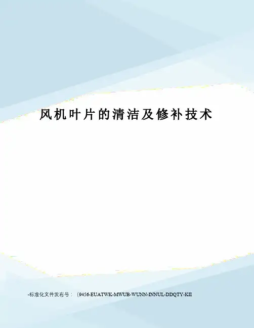 风机叶片的清洁及修补技术