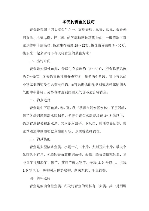 钓鱼技巧：冬天钓青鱼的技巧