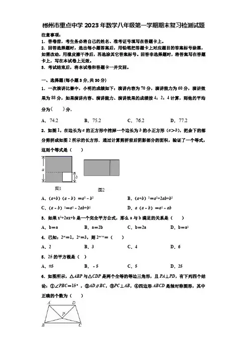 郴州市重点中学2023年数学八年级第一学期期末复习检测试题【含解析】