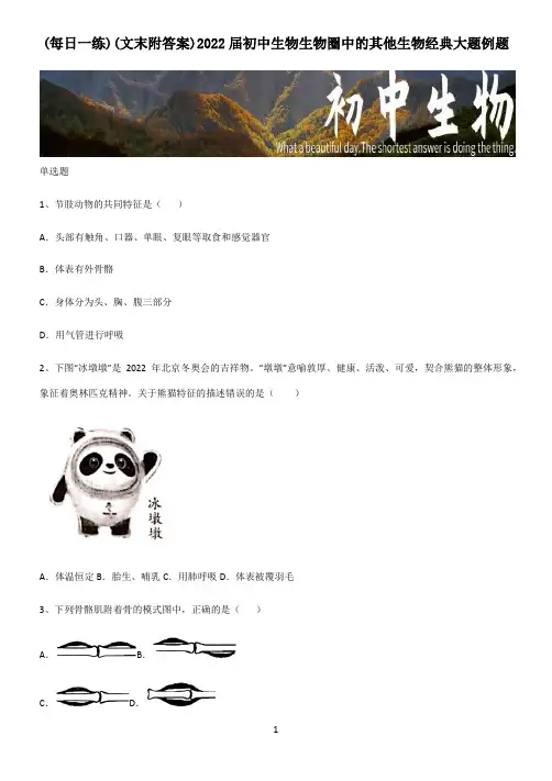 (文末附答案)2022届初中生物生物圈中的其他生物经典大题例题