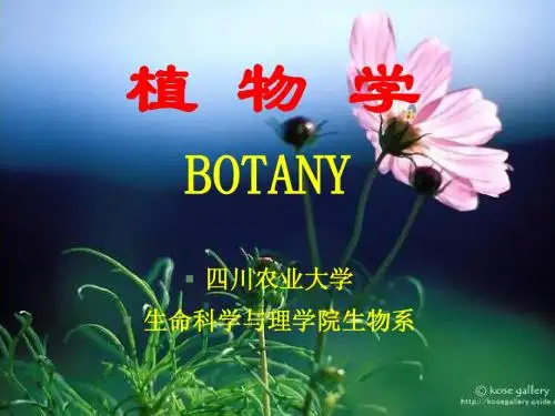 植物学绪论