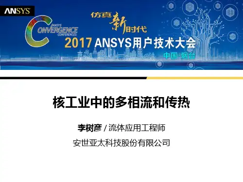 ANSYS workbench核工业多相流动和传热