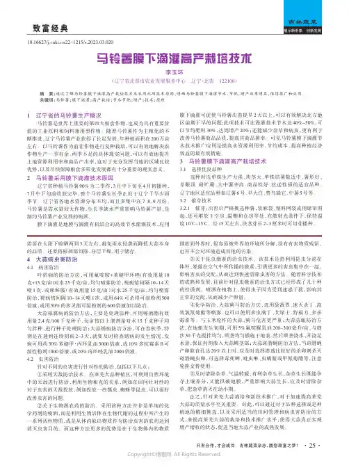 马铃薯膜下滴灌高产栽培技术
