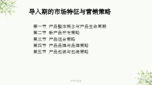 导入期的市场特征与营销策略课件
