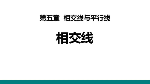 《相交线》相交线与平行线PPT