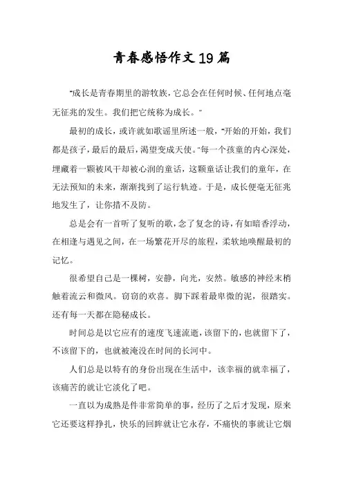 青春感悟作文19篇
