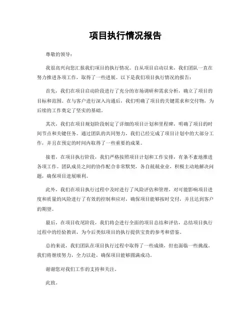 项目执行情况报告