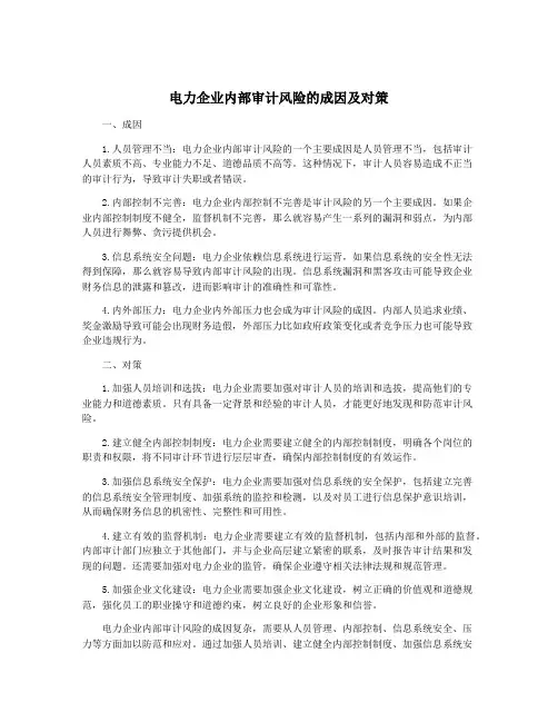 电力企业内部审计风险的成因及对策
