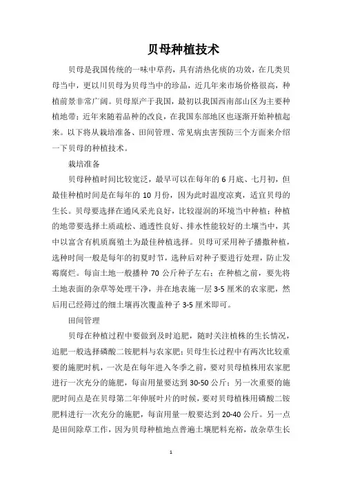 贝母种植技术