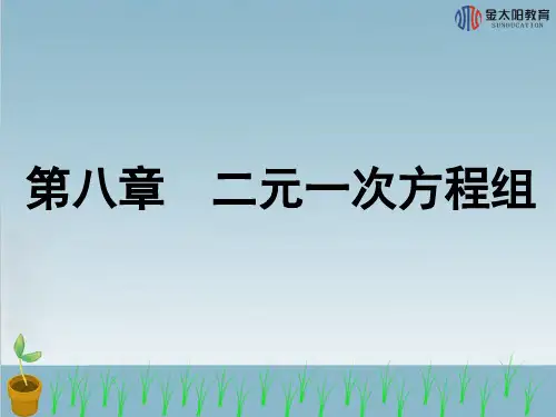 《二元一次方程组》导学案