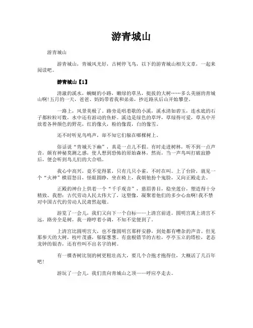 游青城山-专业文档!