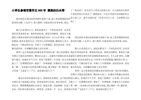 小学生参观写景作文500字漂亮的白水带