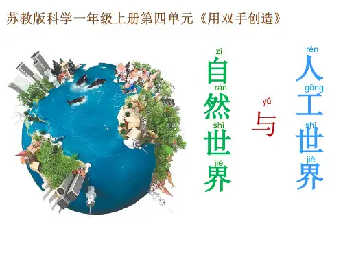 苏教版一年级上册科学10自然世界与人工世界公开课课件