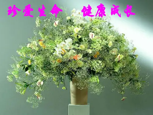 安全教育班会《珍爱生命,健康成长》PPT课件