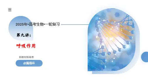 第9讲呼吸作用(课件)-2025年高考生物一轮复习