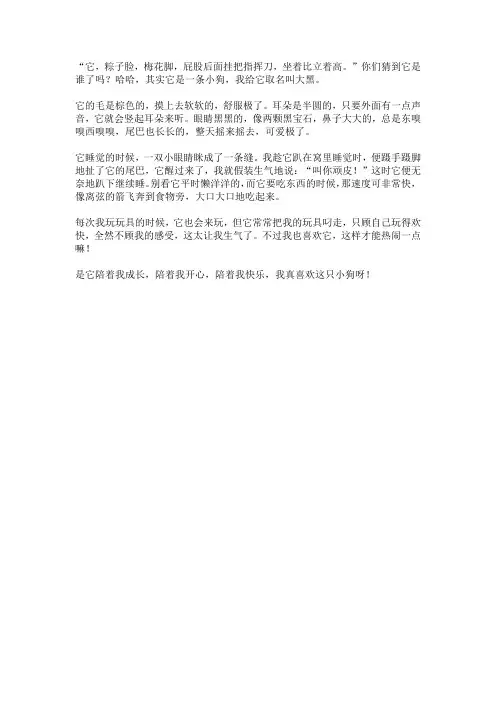 三年级作文专题训练——小动物