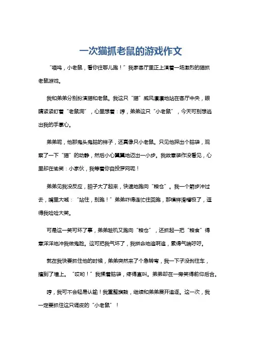 一次猫抓老鼠的游戏作文