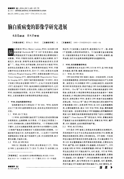 脑白质病变的影像学研究进展