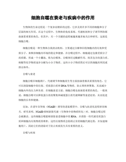 细胞自噬在衰老与疾病中的作用