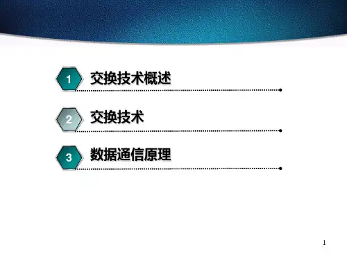 概述现代交换技术PPT课件