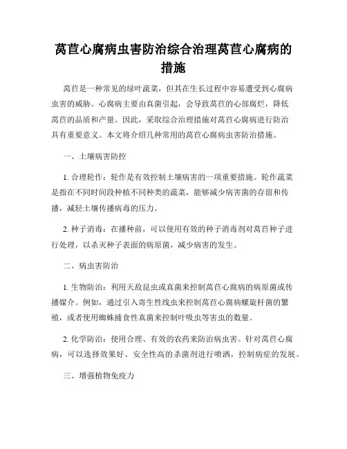 莴苣心腐病虫害防治综合治理莴苣心腐病的措施