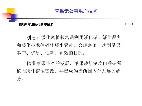 苹果矮化栽培技术