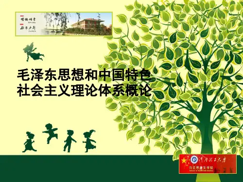 毛概课件第5章