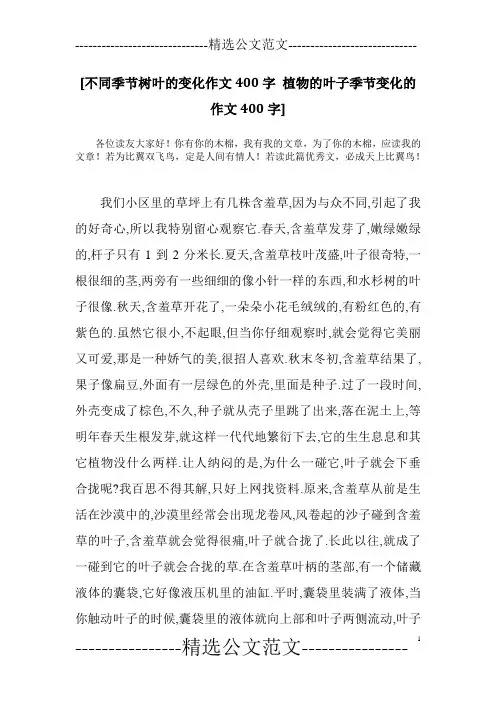 [不同季节树叶的变化作文400字 植物的叶子季节变化的作文400字]