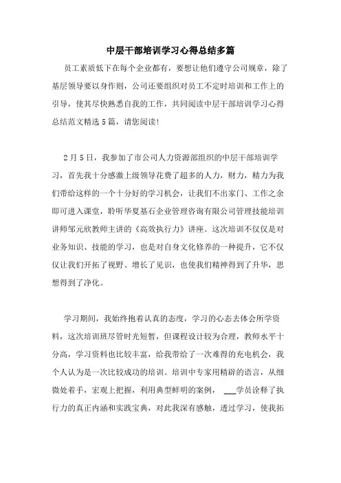 2021年中层干部培训学习心得总结多篇