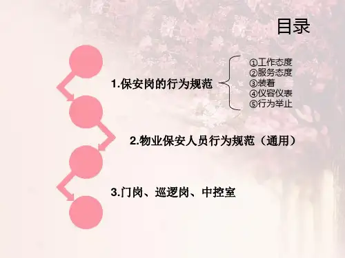 保安岗行为规范ppt